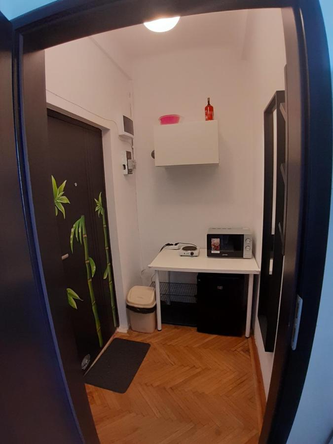 Best Apartament In Center Apartment บูคาเรสต์ ห้อง รูปภาพ
